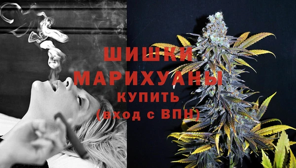 гидра Белоозёрский