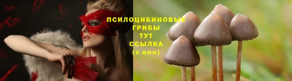 гидра Белоозёрский