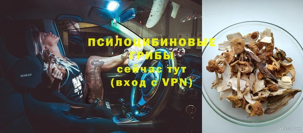 кристаллы Белокуриха